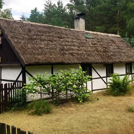 Bibianna Serce Lasu Villa