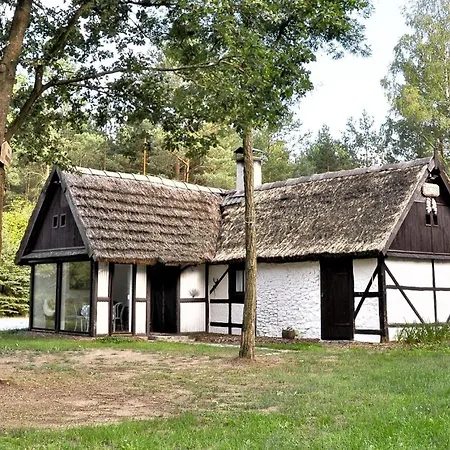 Bibianna Serce Lasu فيلة Malanow