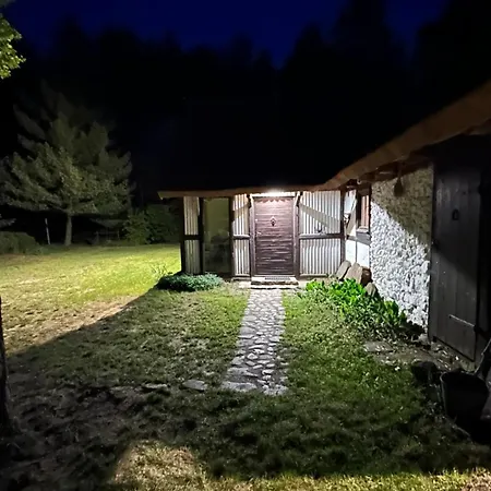 Bibianna Serce Lasu *