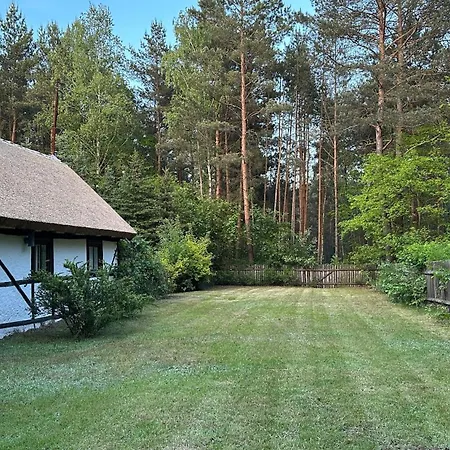 Bibianna Serce Lasu Вилла