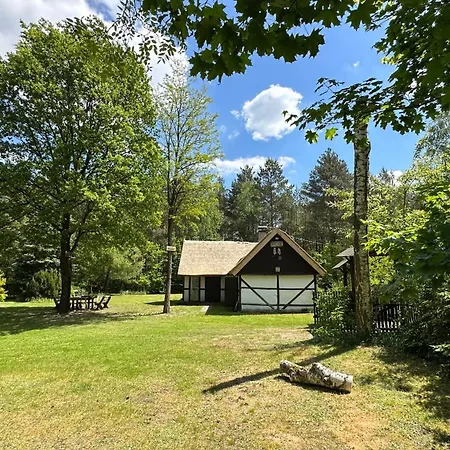 Bibianna Serce Lasu *