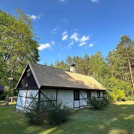 Bibianna Serce Lasu Villa *