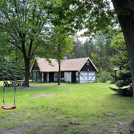 Bibianna Serce Lasu فيلة *