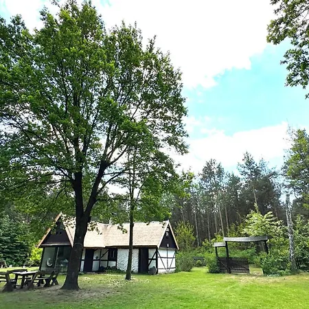 فيلة Bibianna Serce Lasu *