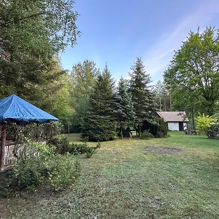 Bibianna Serce Lasu فيلة Malanow