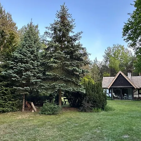 فيلة Bibianna Serce Lasu Malanow