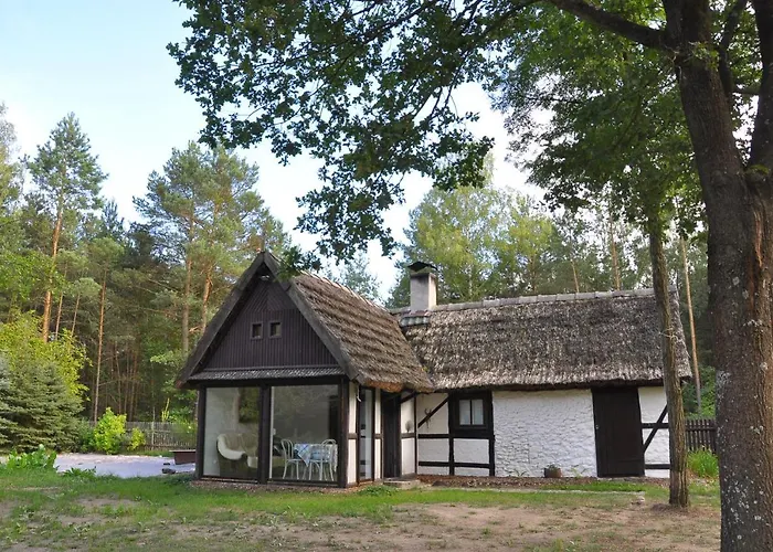 Bibianna Serce Lasu *