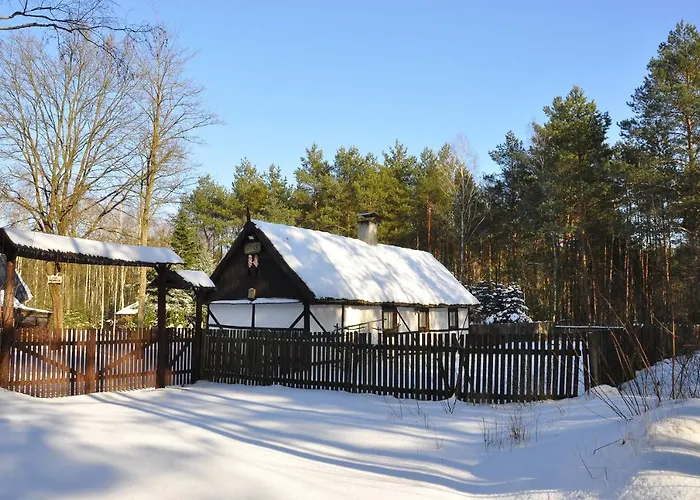 فيلة Bibianna Serce Lasu