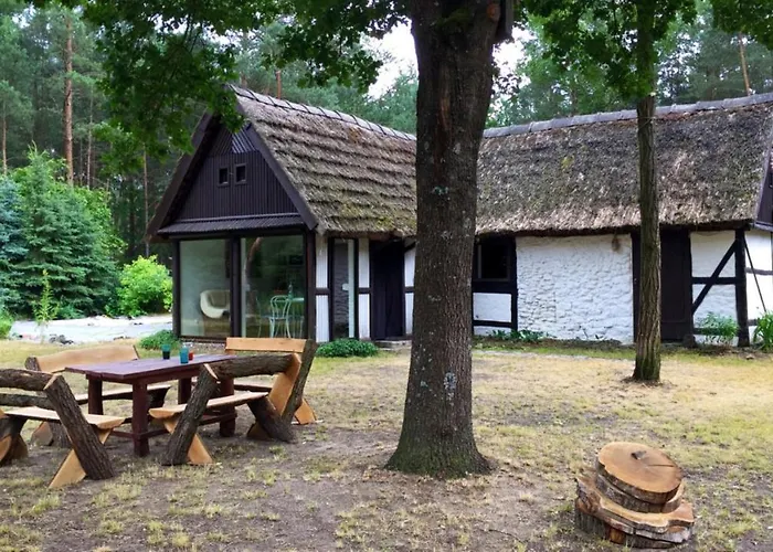 Bibianna Serce Lasu Malanow