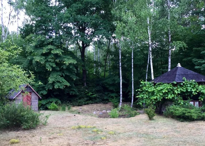 Bibianna Serce Lasu Malanow