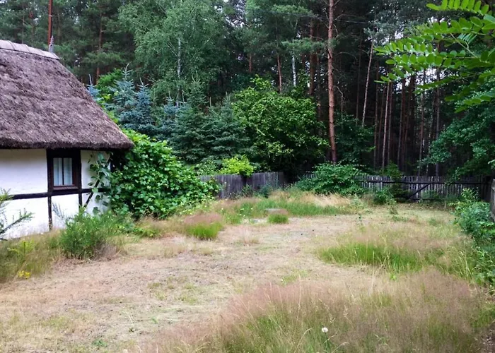 Bibianna Serce Lasu * Malanow