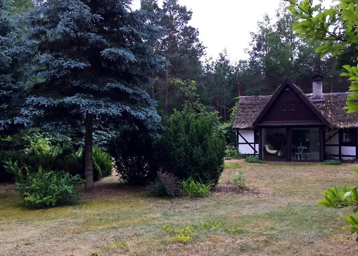 Bibianna Serce Lasu *