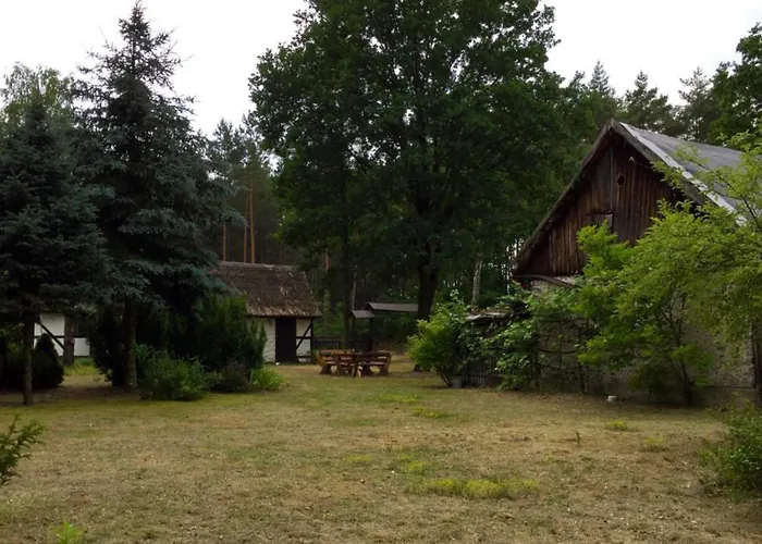 Bibianna Serce Lasu فيلة *