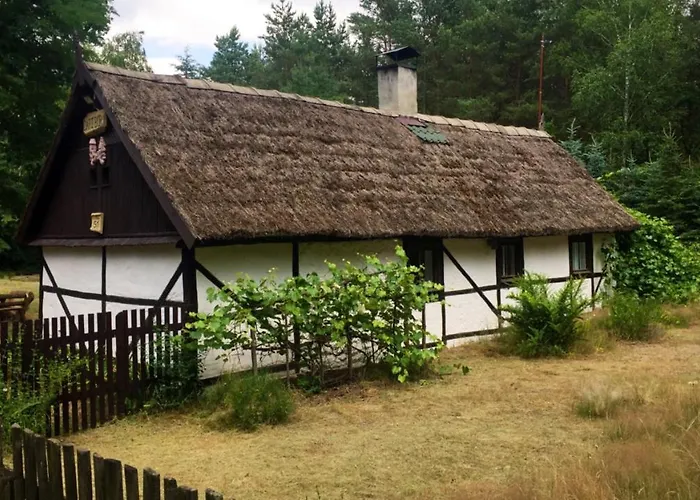 Bibianna Serce Lasu Villa