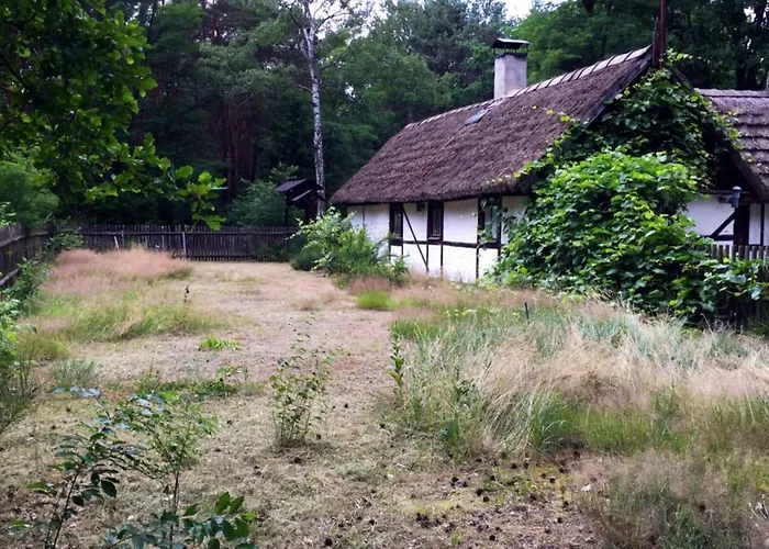 Bibianna Serce Lasu Malanow