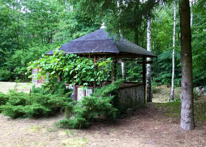 Bibianna Serce Lasu *