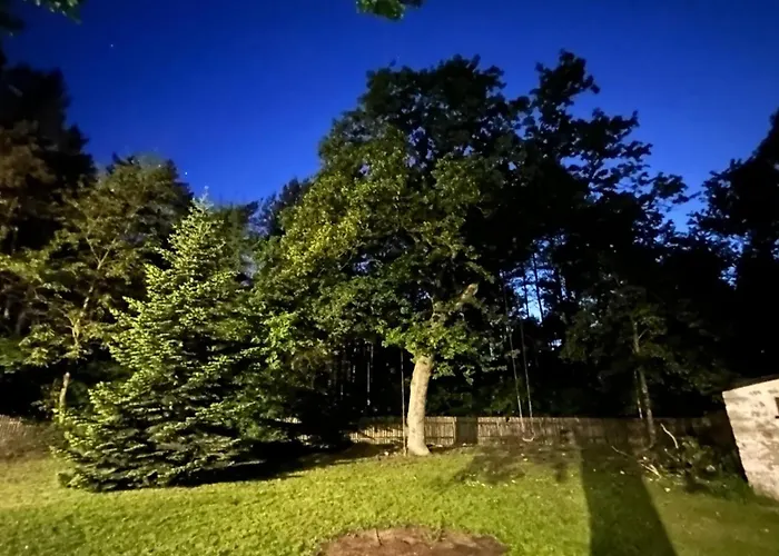 Bibianna Serce Lasu * Malanow