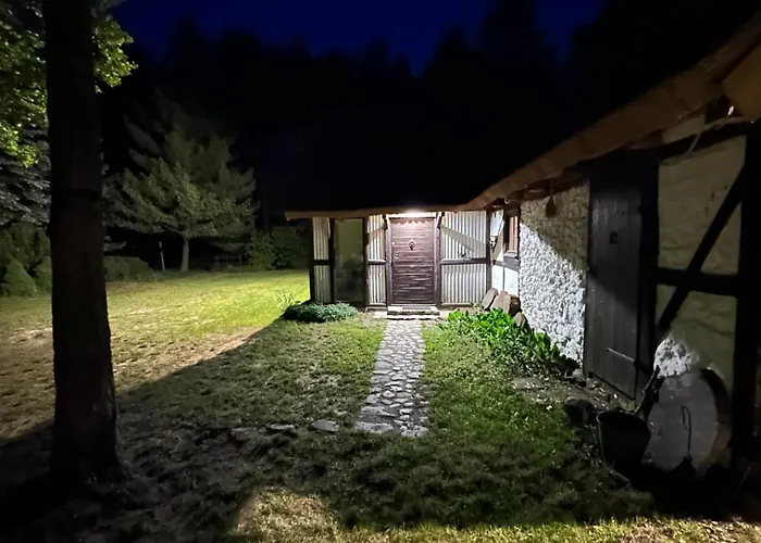 Bibianna Serce Lasu *