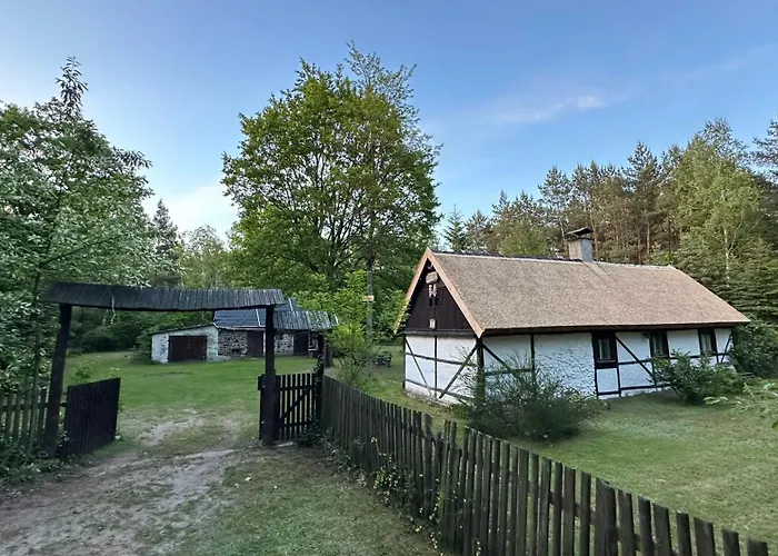 Bibianna Serce Lasu Malanow