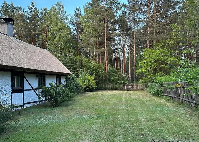 Bibianna Serce Lasu فيلة