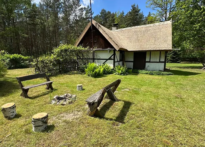 Bibianna Serce Lasu فيلة *