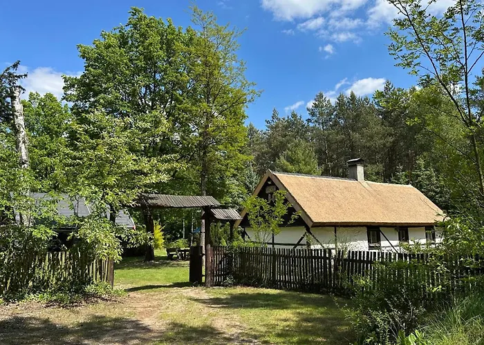 Bibianna Serce Lasu فيلة Malanow