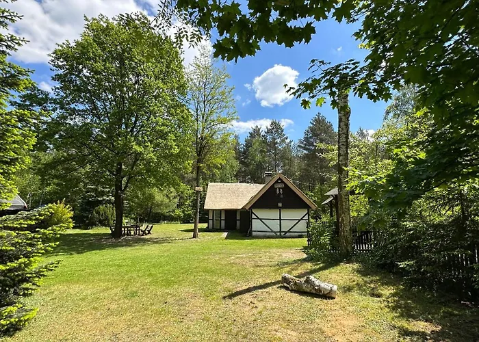 Bibianna Serce Lasu *