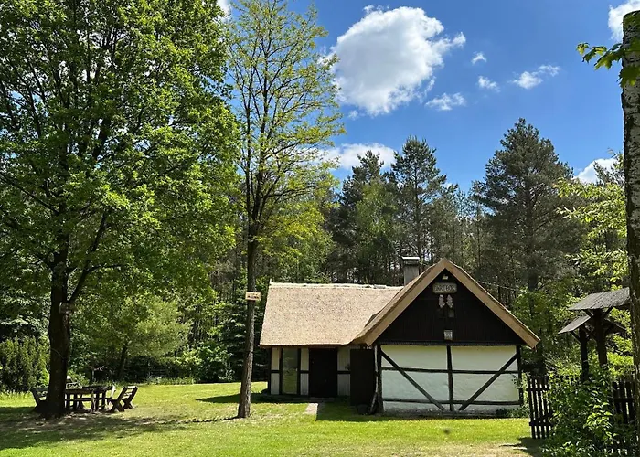 Bibianna Serce Lasu Malanow