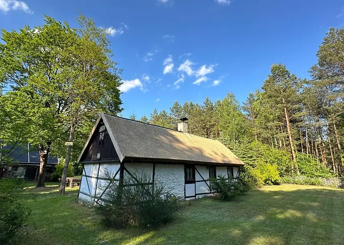 Bibianna Serce Lasu فيلة *