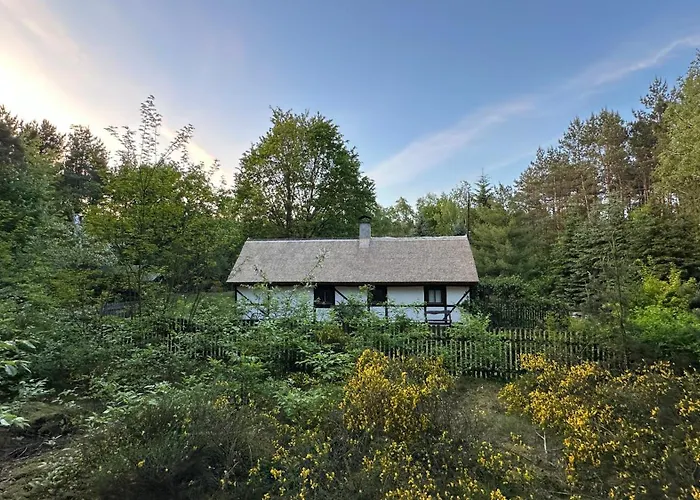 Villa Bibianna Serce Lasu Malanow