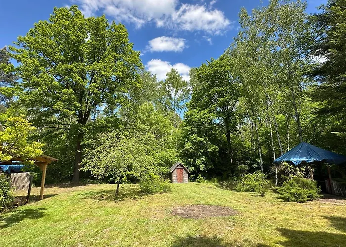 Bibianna Serce Lasu فيلة *