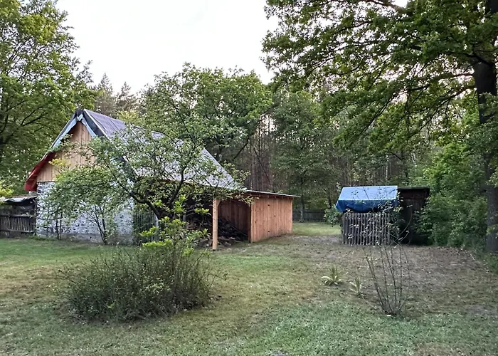 Bibianna Serce Lasu *